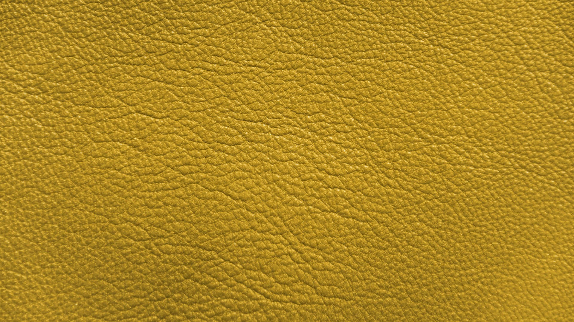 Wallpaper Kuning 2560 X 1440 Wallpaper