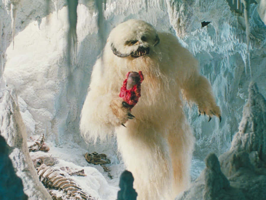 Wampa Achtergrond