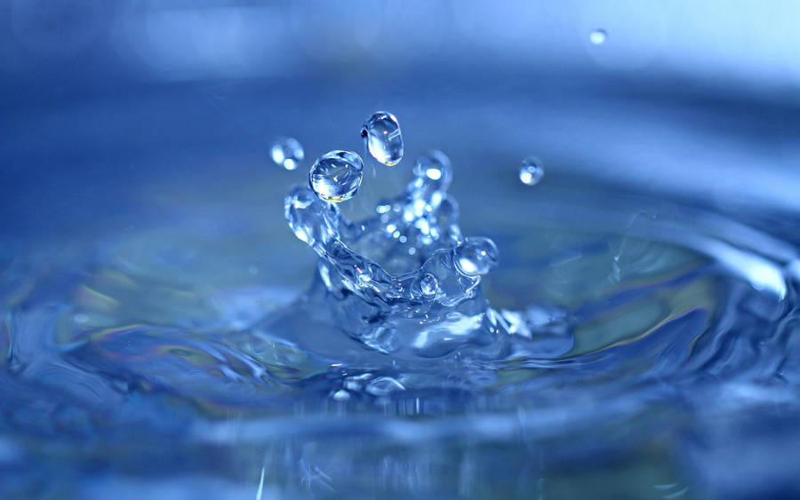 Water drops live wallpaper - Apps on Google Play-thanhphatduhoc.com.vn