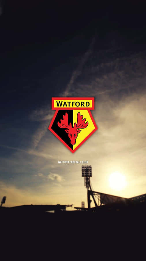 Watford Wallpaper