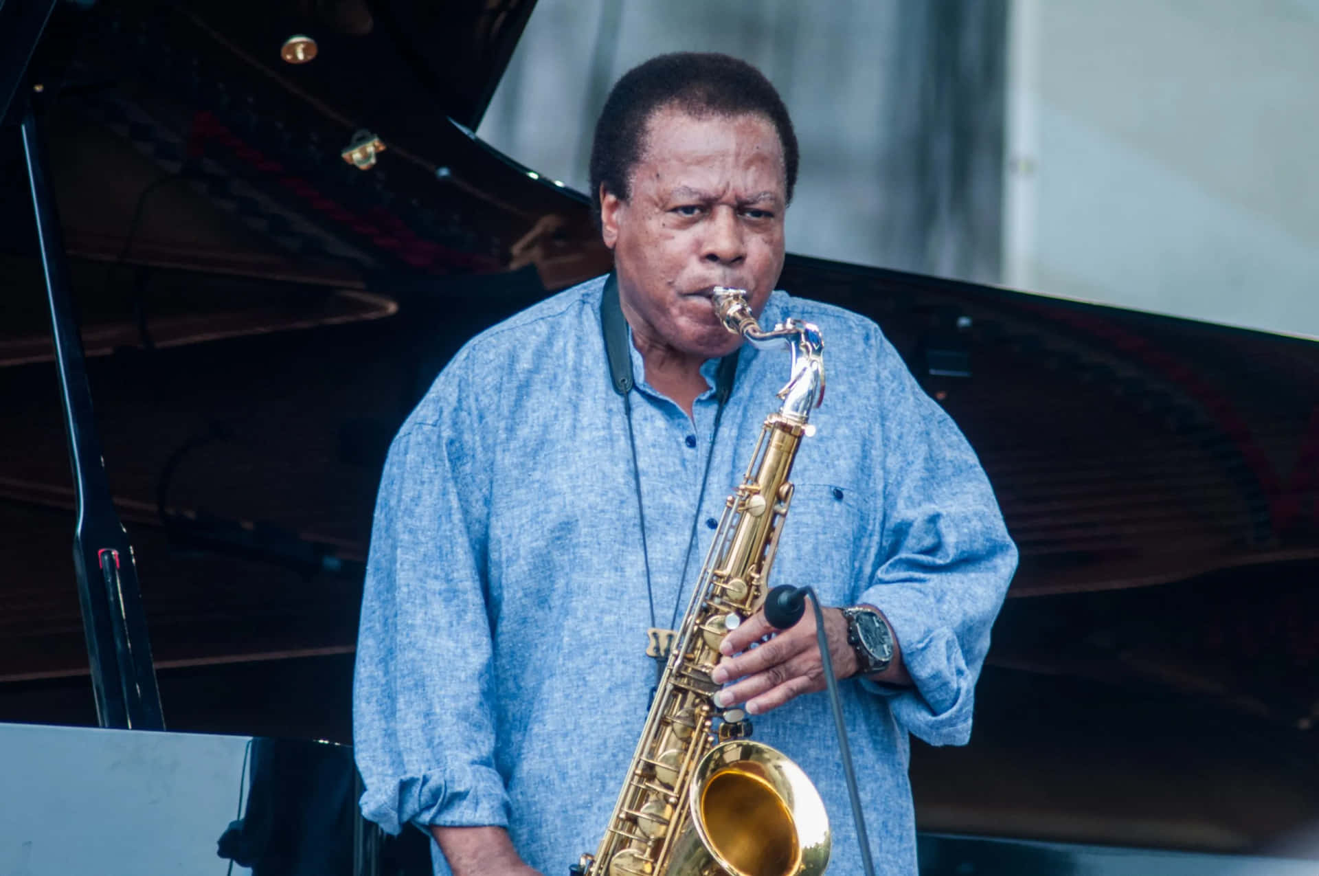 Wayne Shorter Wallpaper