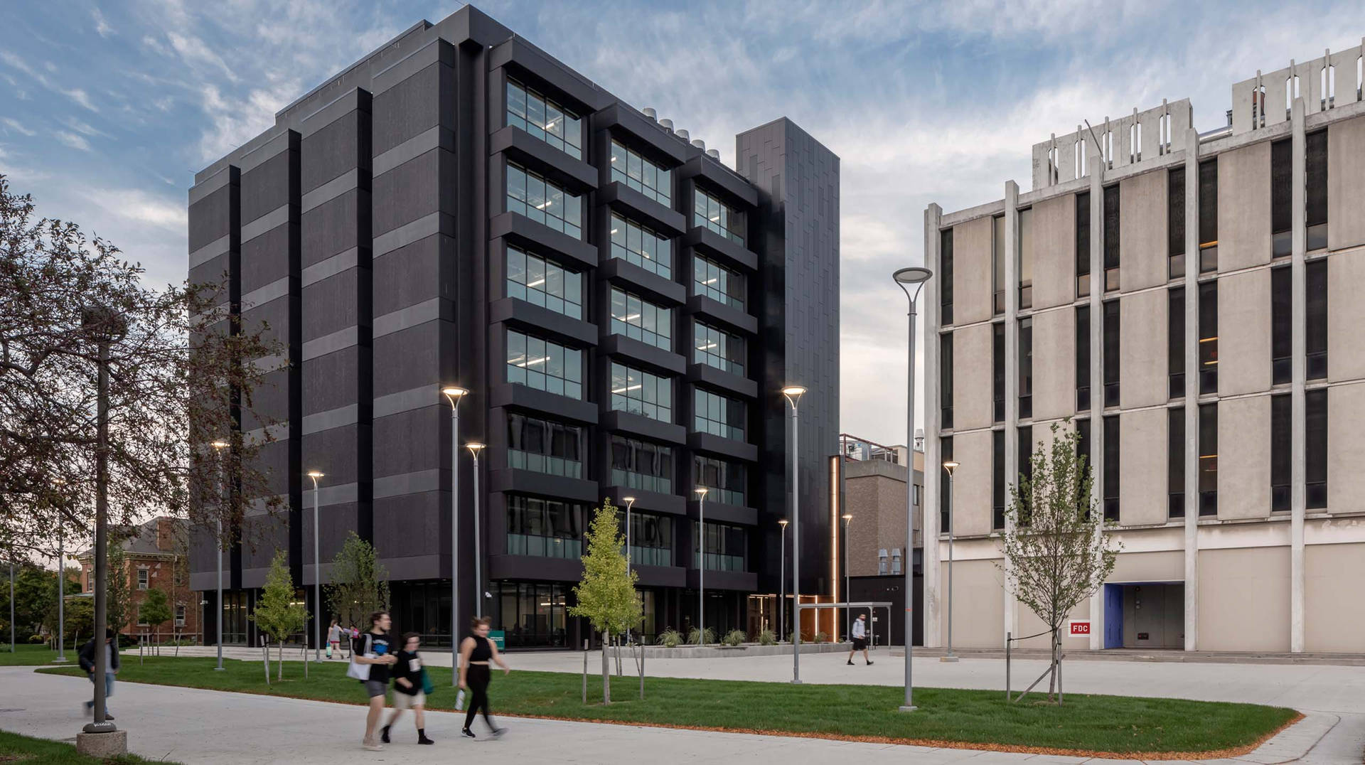 Wayne State University Bakgrunnsbildet