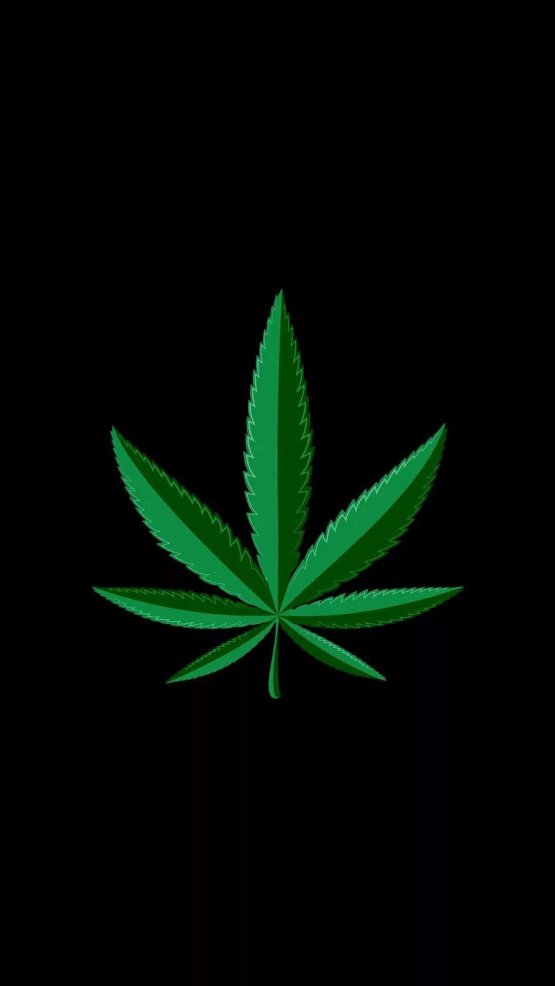 A green cannabis leaf on a black background. — Weed iPhone Background