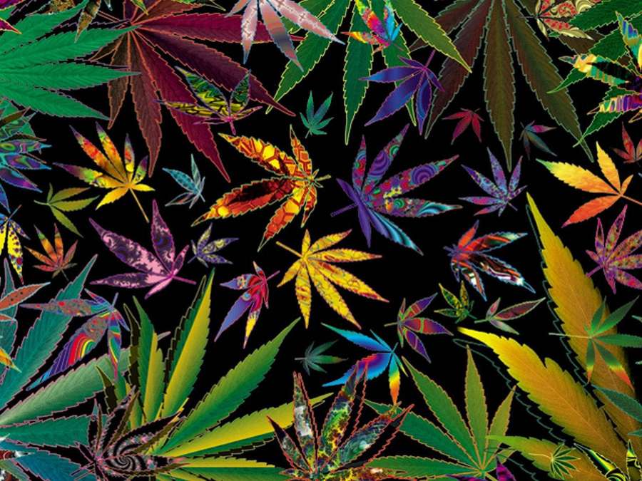 Folhas de cannabis psicodélicas em cores de arco-íris em fundo preto — Weed Leaf Papéis de Parede