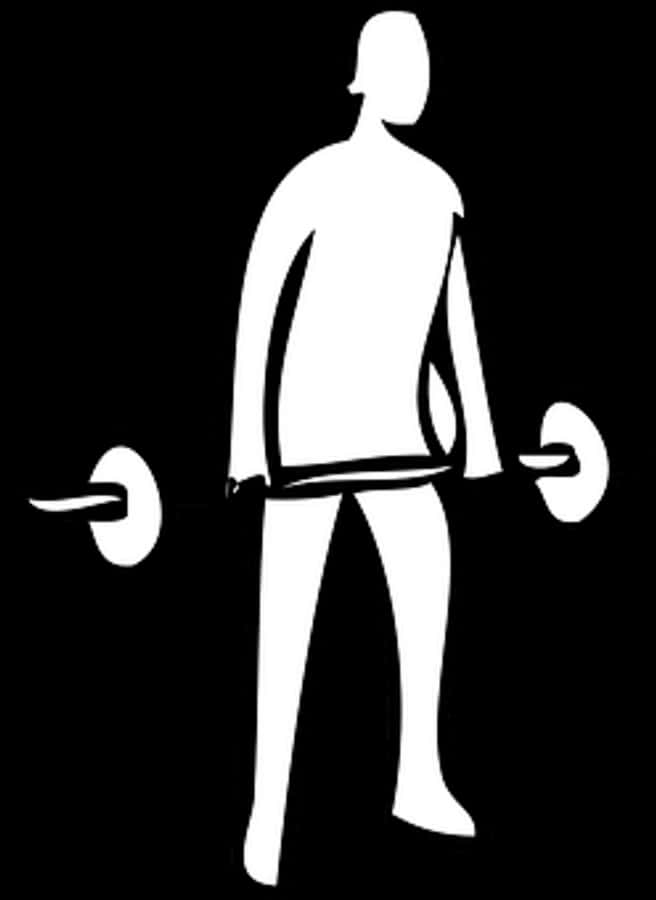 Weightlifting Png