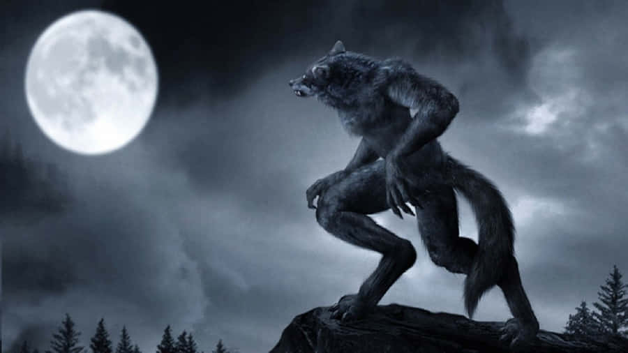 Werewolf Costumes Wallpaper