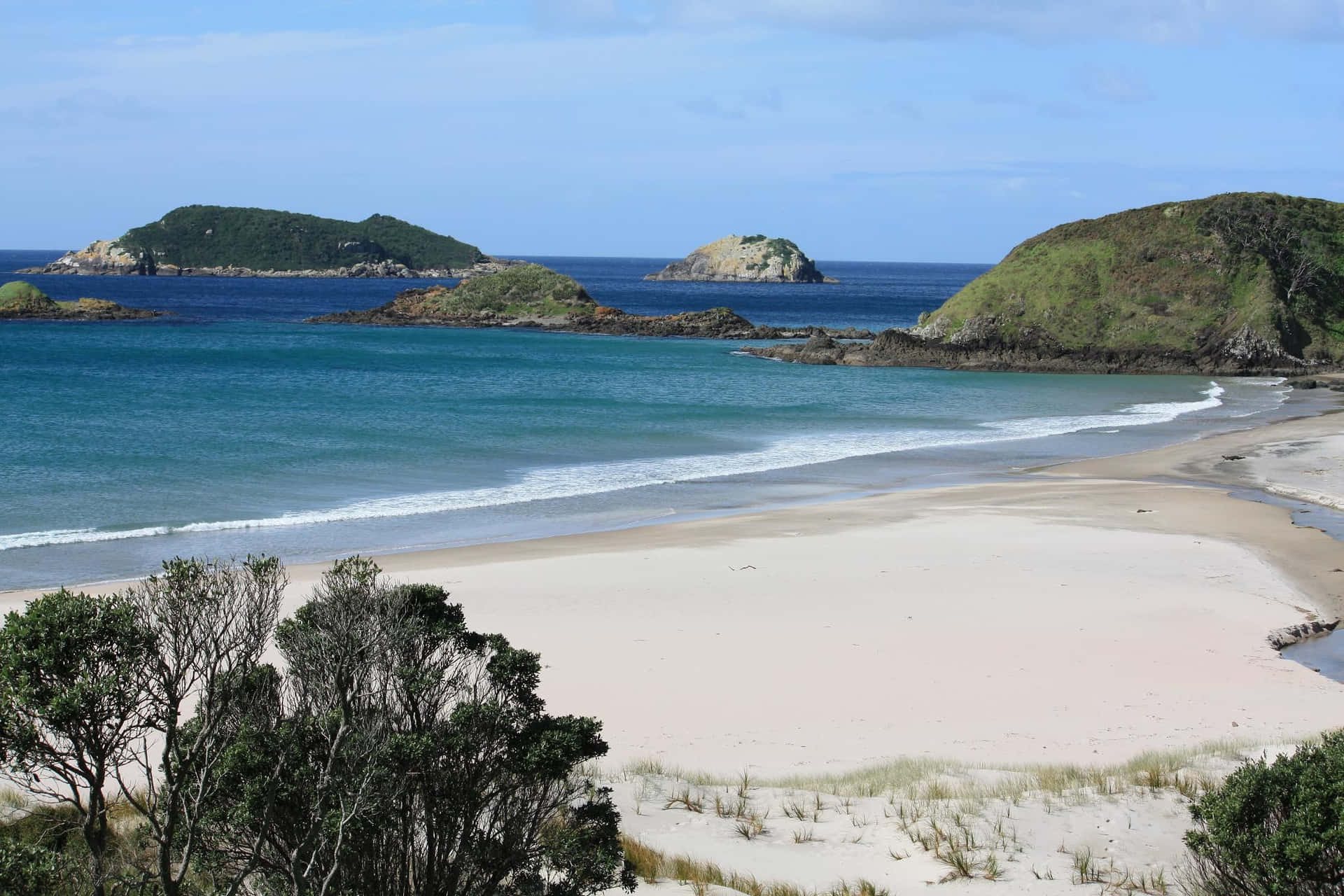 Whangarei Taustakuva