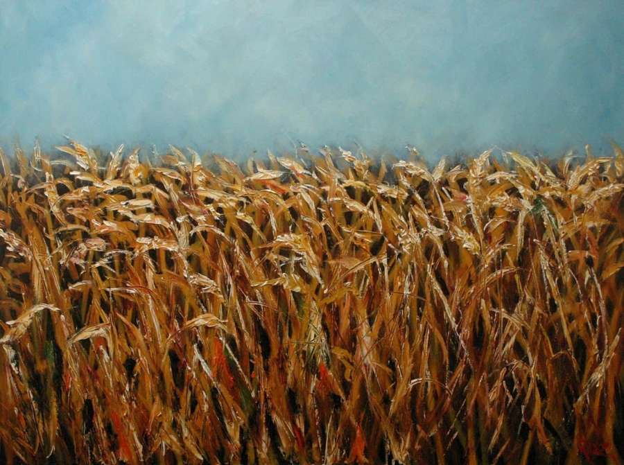 Goldenes Weizenfeld unter blauem Himmel, gemalt mit strukturierten Pinselstrichen — Weizen Bild Bilder