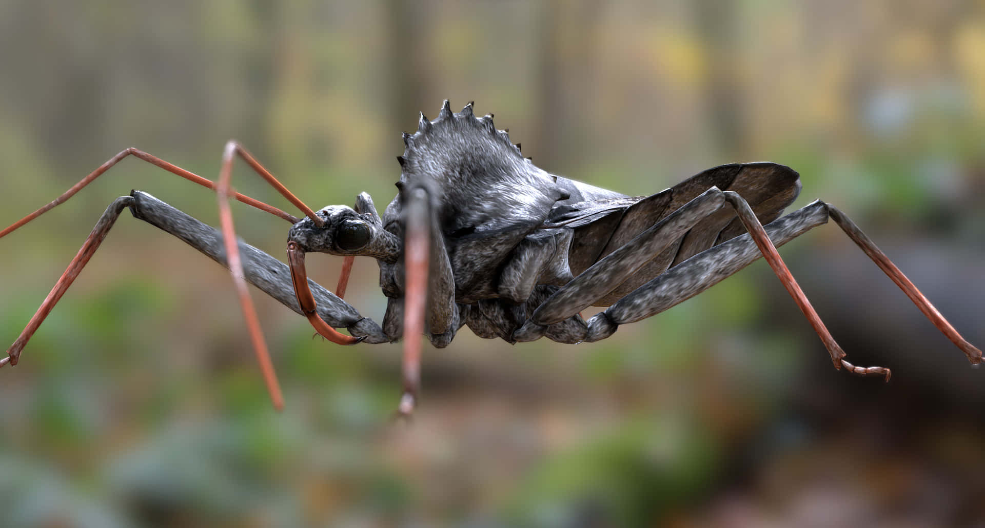 Wheel Bug Taustakuva