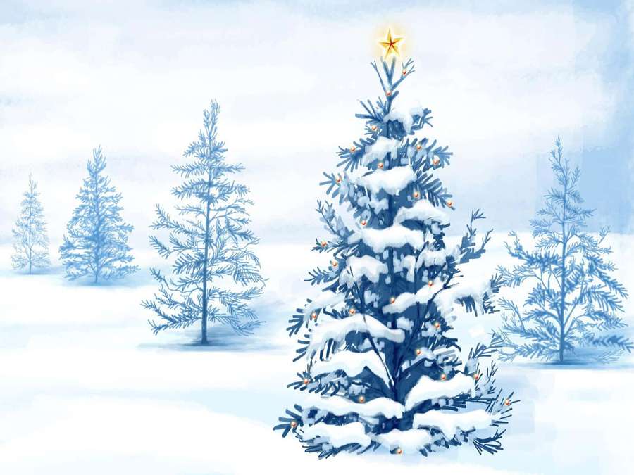 Un albero di Natale decorato in una foresta invernale innevata con luci scintillanti e una stella in cima. — White christmas Sfondi