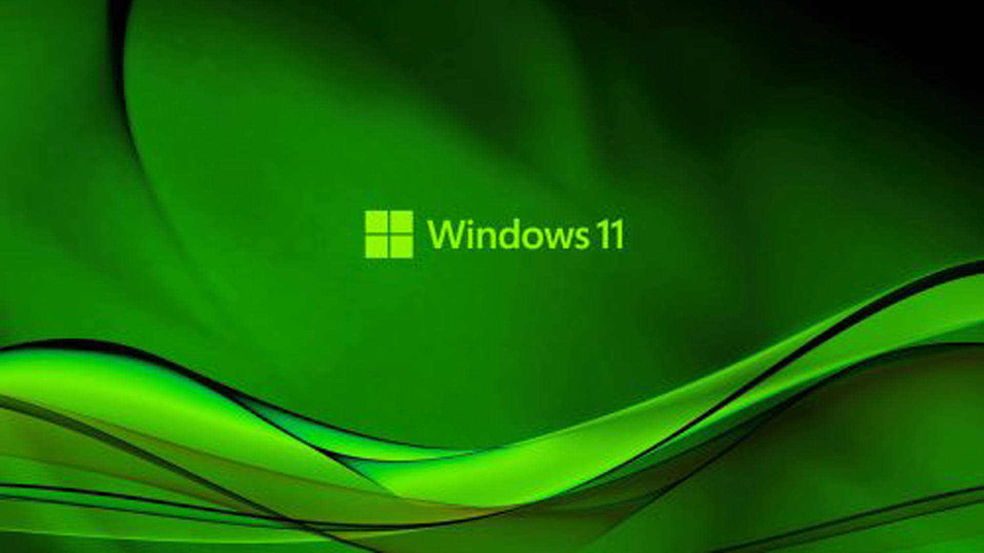 Windows 11-logotypen Wallpaper