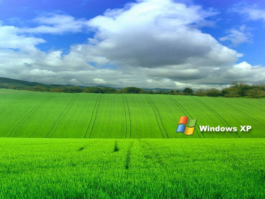 Windows Xp Papel de Parede