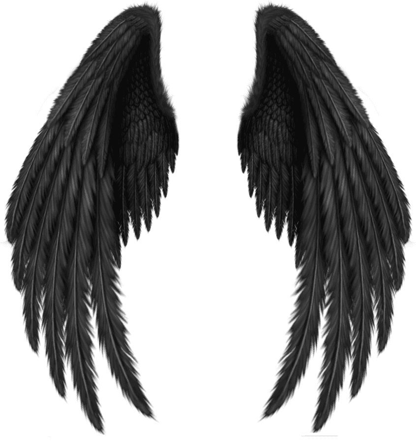 Wing Png