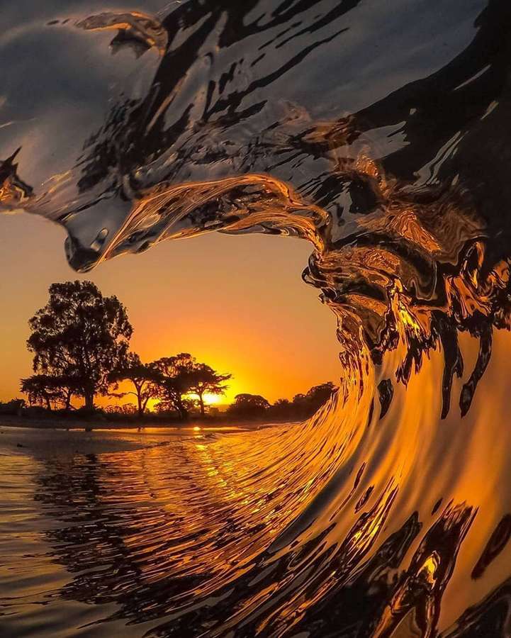 Eine gebogene Welle reflektiert einen lebhaften Sonnenuntergang über silhouettierten Bäumen in der Dämmerung. — Winken Wallpaper