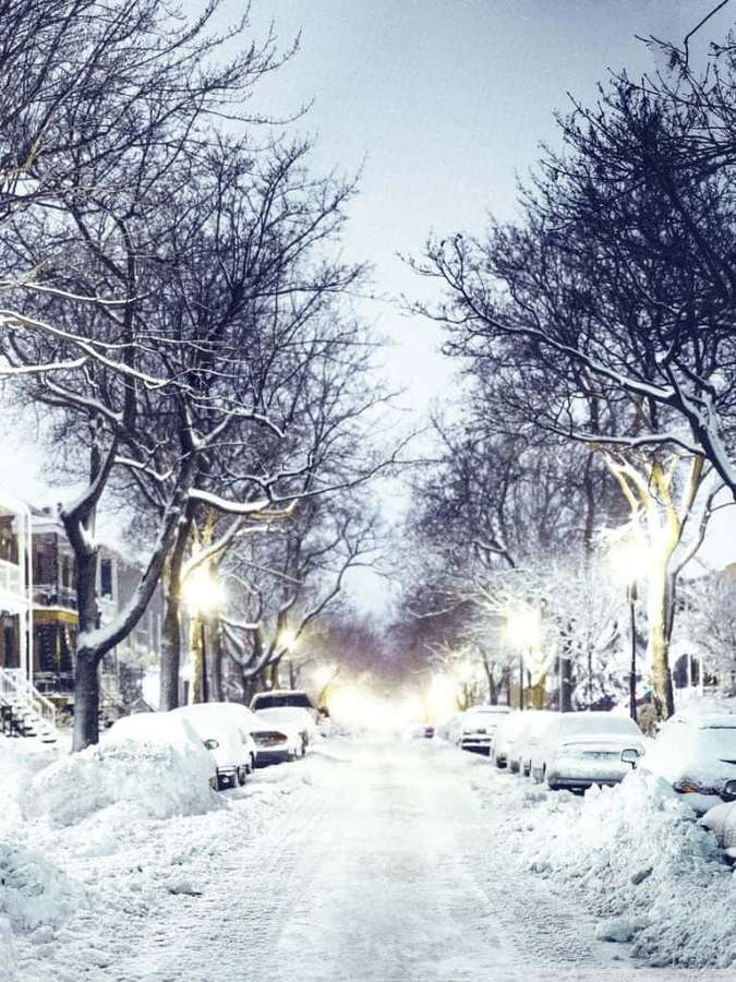 Snowy street with bare trees and parked cars illuminated by streetlights at dusk. — Winter Phone Background