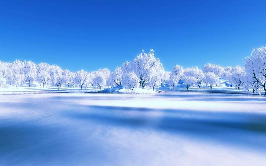 Frozen winter landscape with snow-covered trees and blue sky. — Winter Scenery Background