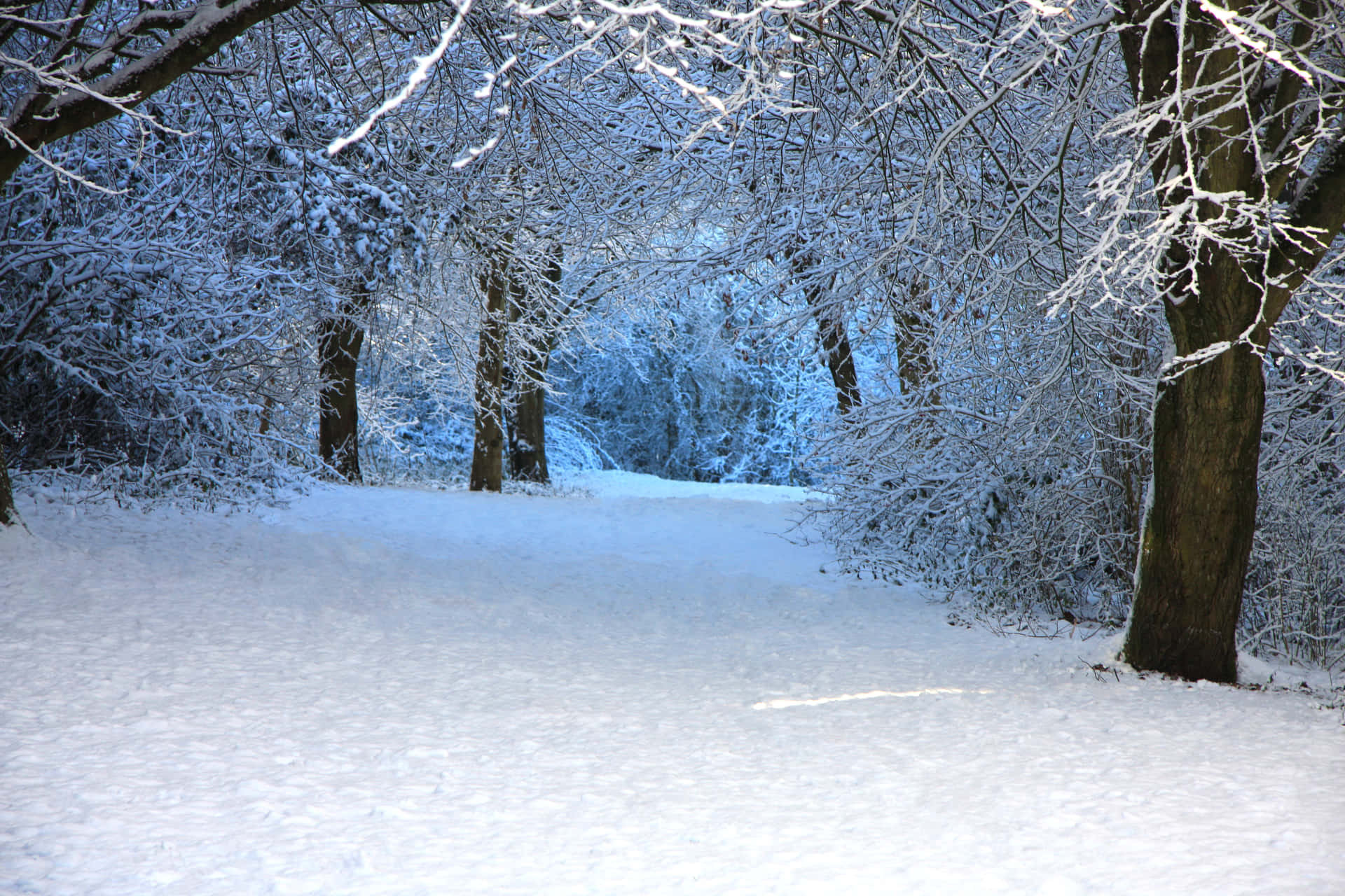 Winter Wonderland Desktop Hintergrund