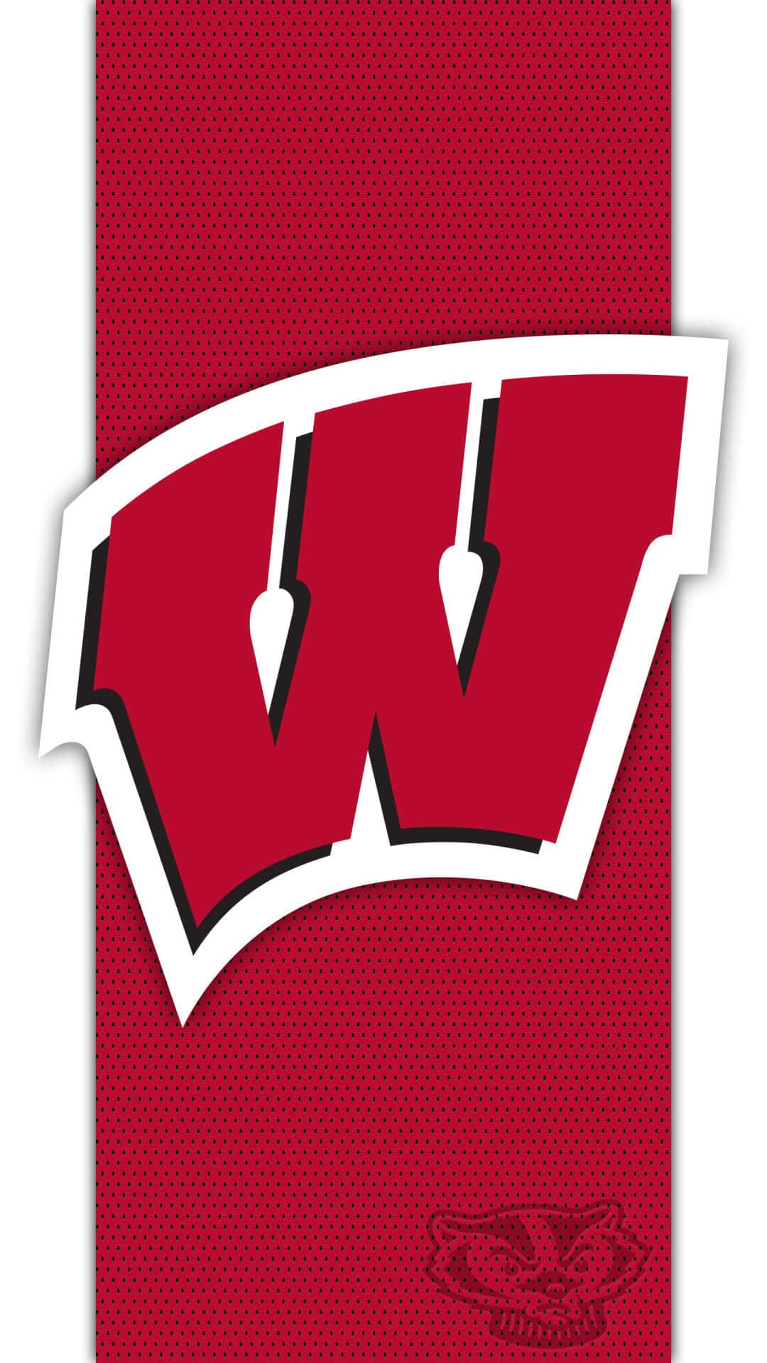 Wisconsin Badgers Achtergrond