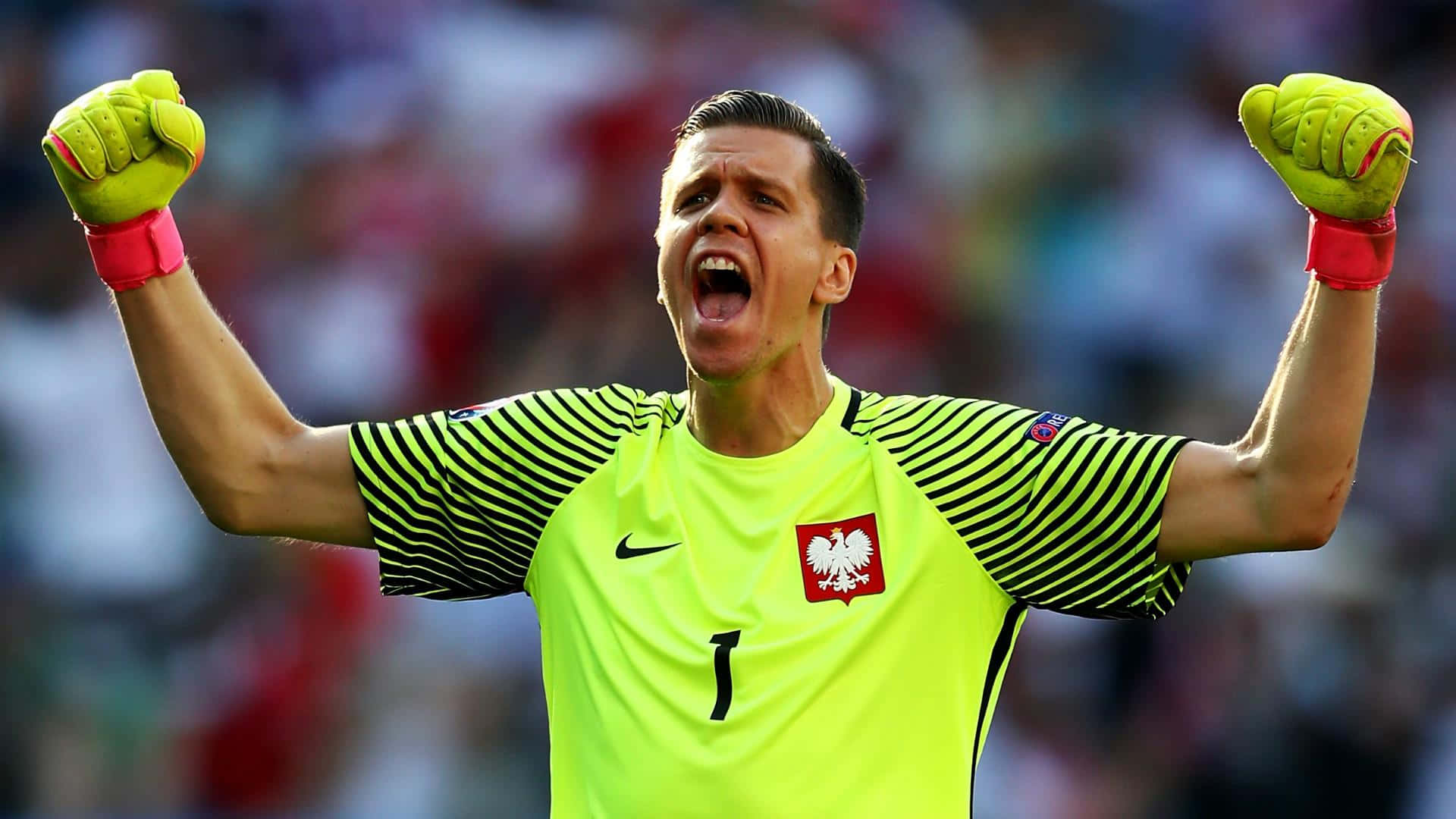 Wojciech Szczesny Taustakuva