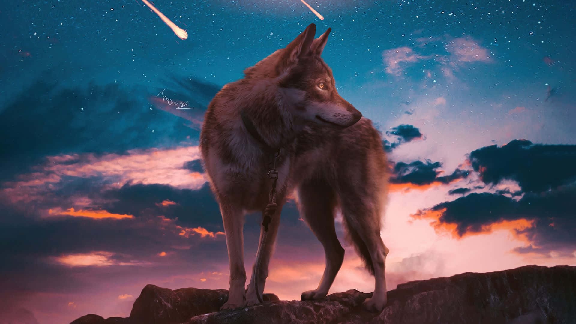 Wolf Aesthetic Background Wallpaper