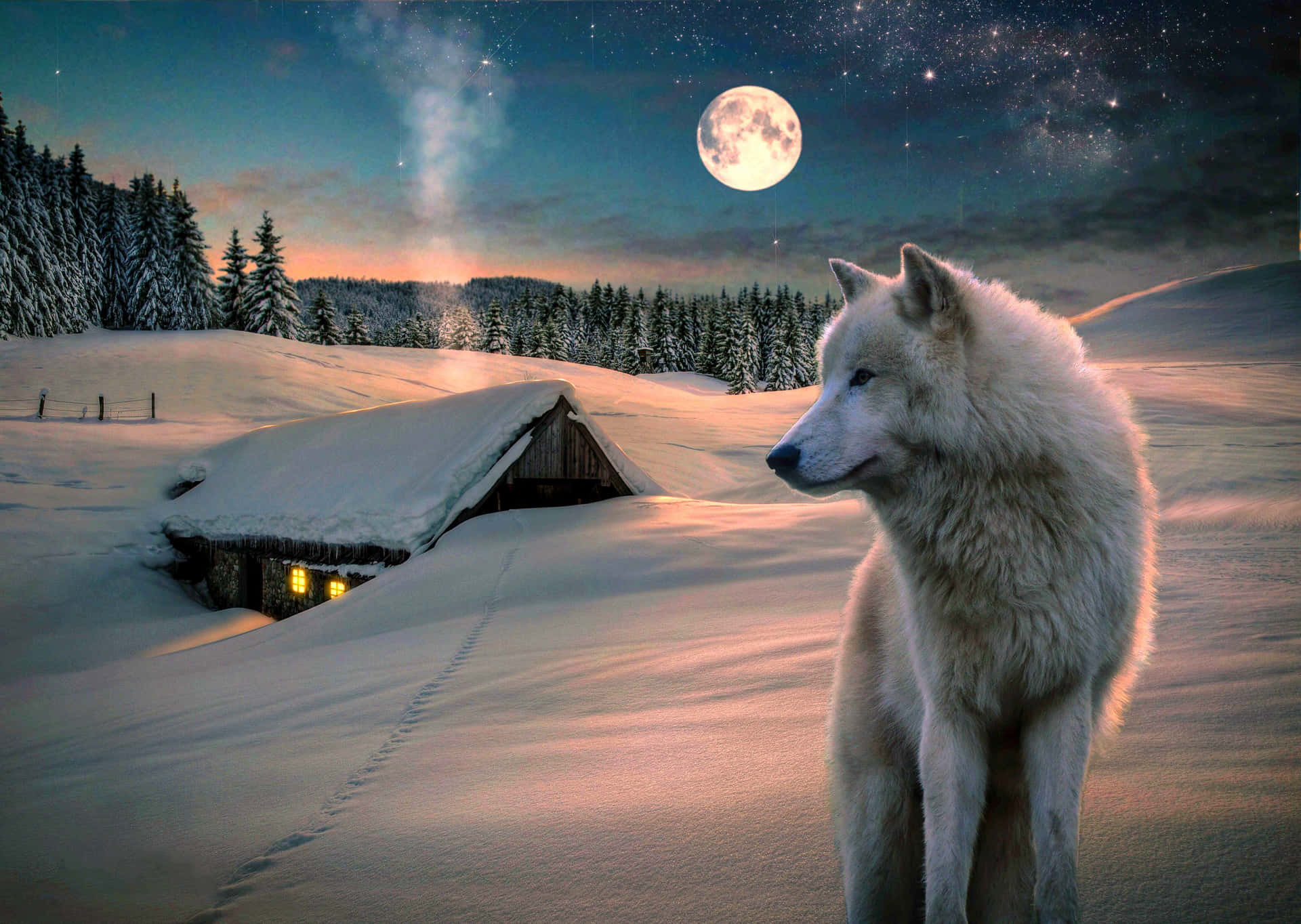Wolf In Snow Wallpaper