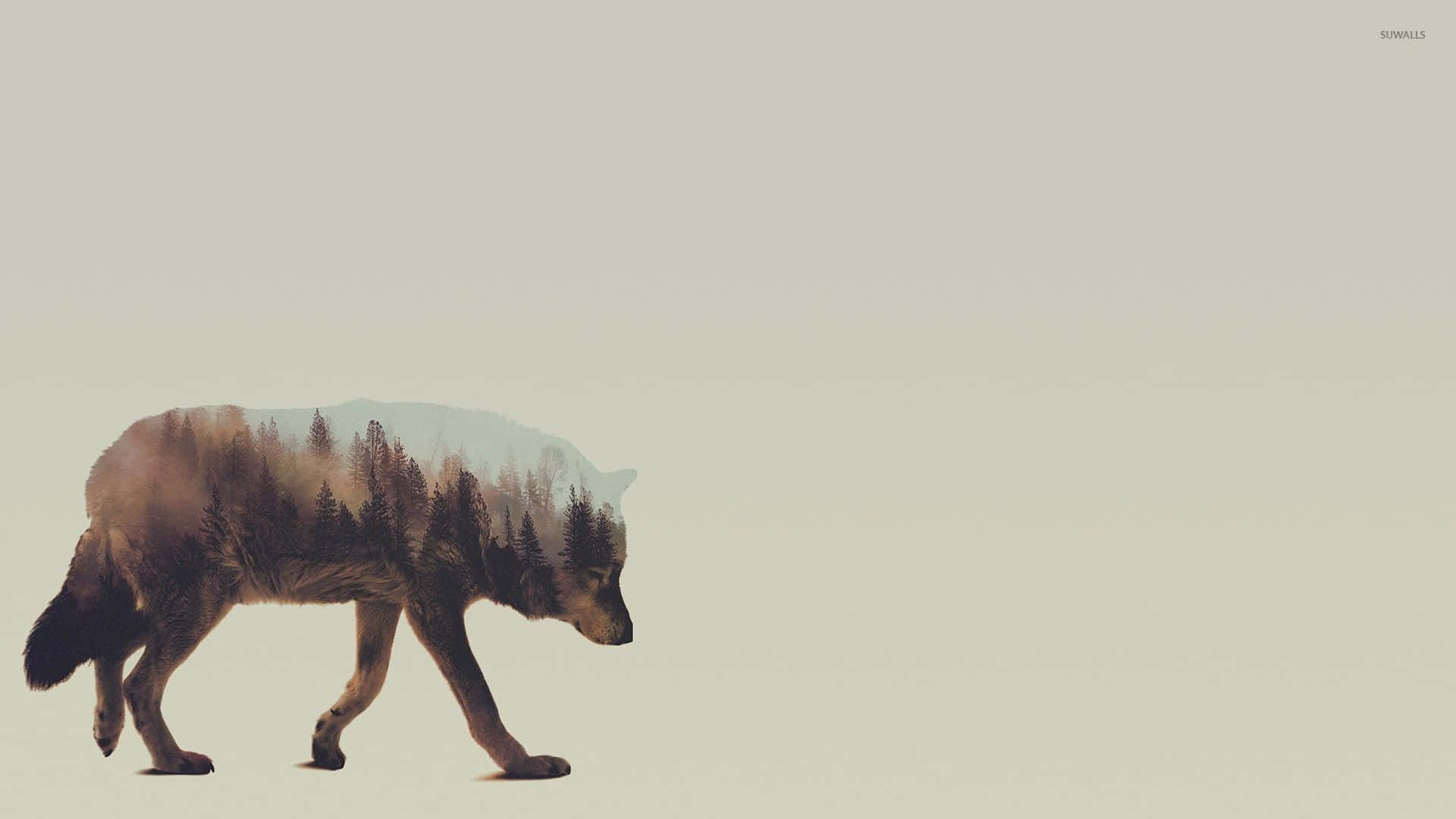 Wolf Minimalistisch Achtergrond