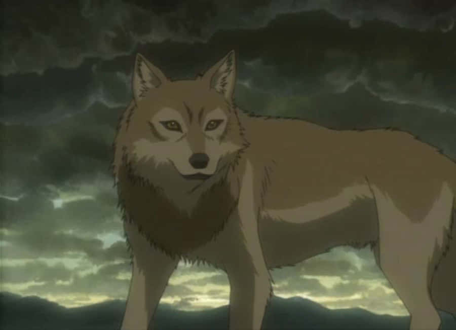 Wolf's Rain Toboe Fond d'écran