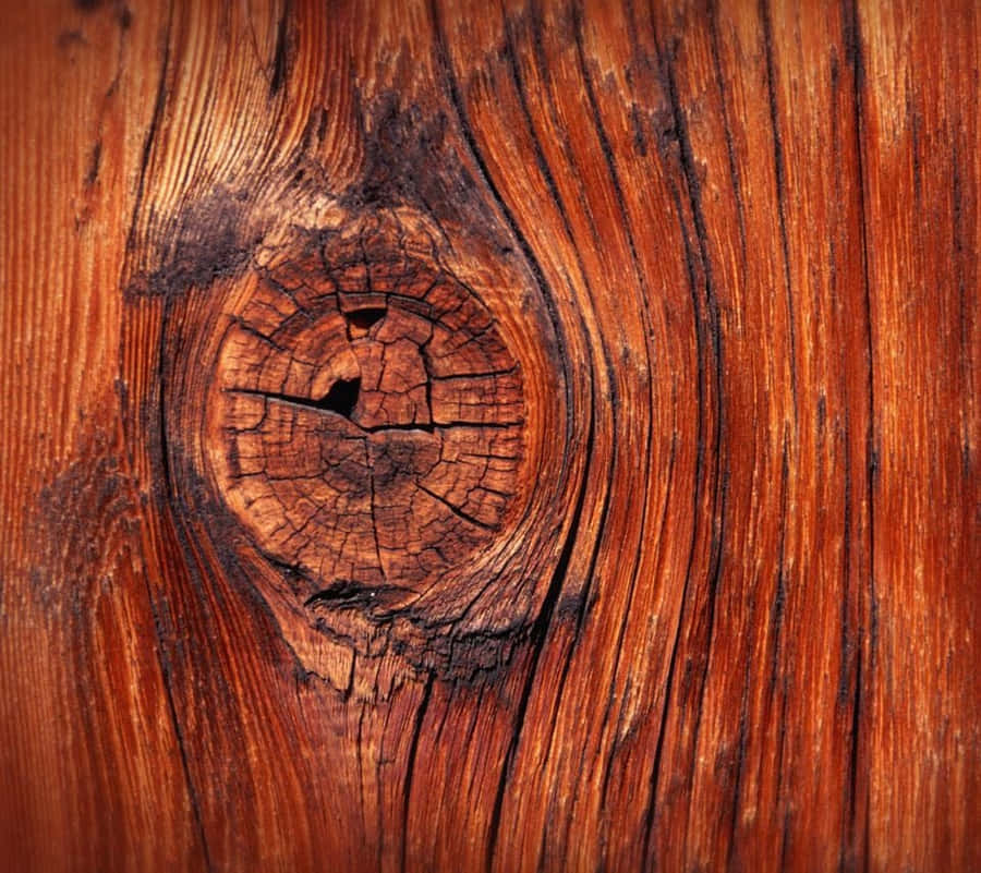 100 Wood Grain Pictures  Download Free Images on Unsplash