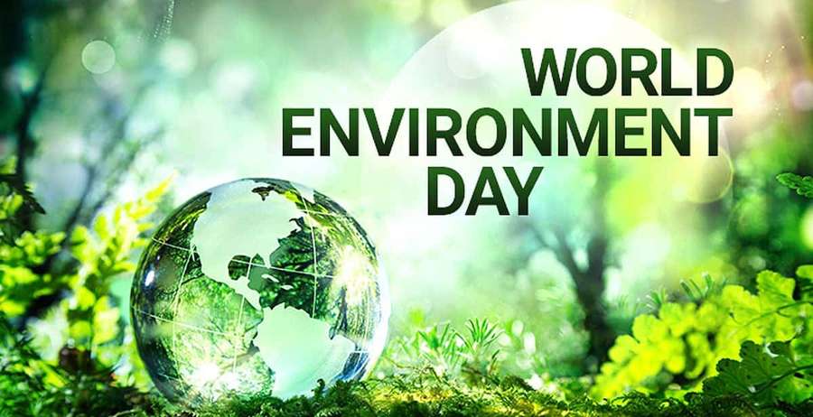 Glass globe in green forest with World Environment Day text. — World Environment Day Wallpaper