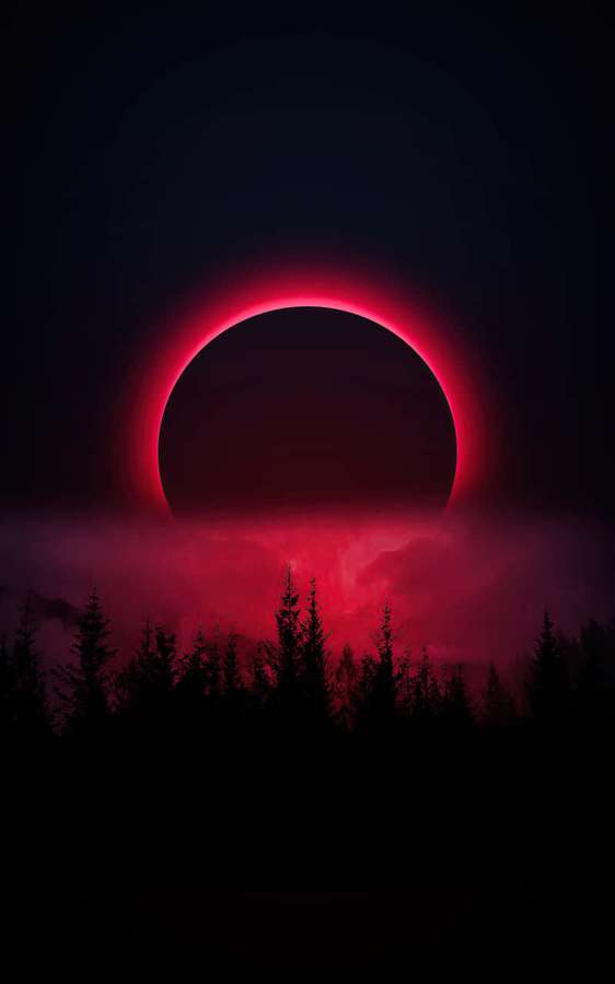 Blutrote Sonnenfinsternis über einem dunklen Wald in der Dämmerung. — Wunderschöne Mondbilder Bild Wallpaper