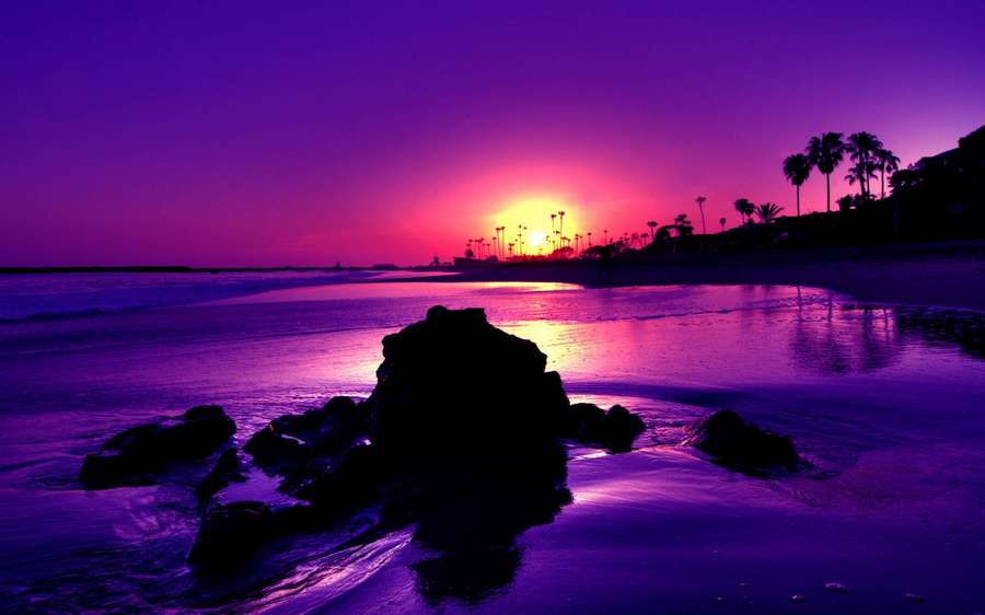 Lila und rosa Sonnenuntergang über einem Strand mit silhouettierten Felsen und Palmen. — Wunderschöner Strand Wallpaper