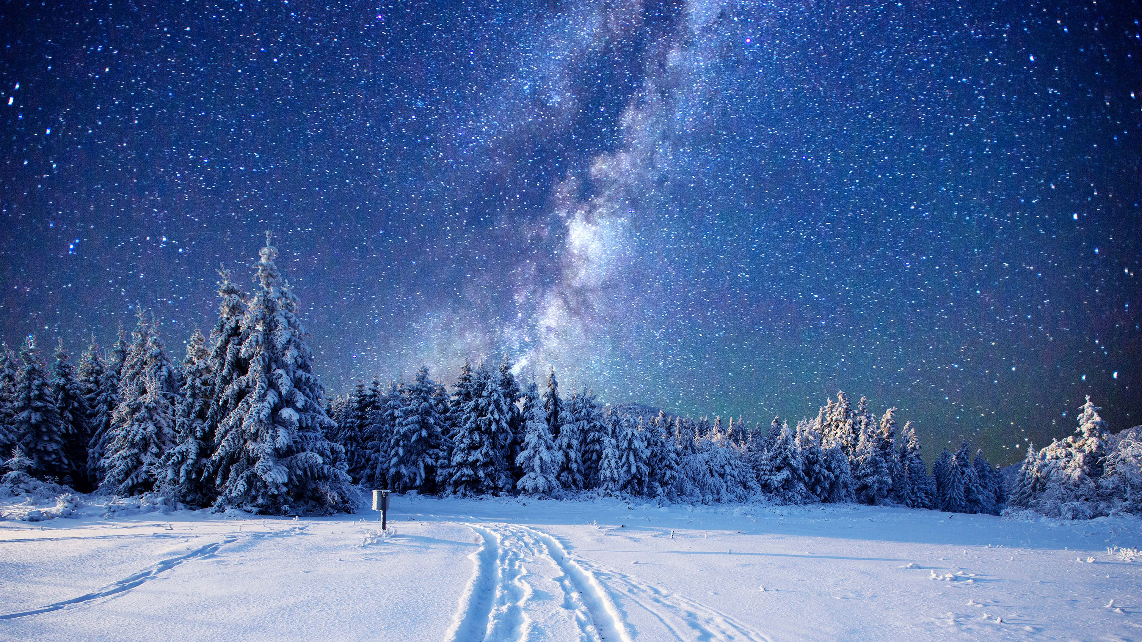 Verschneiter Wald unter sternenklarem Nachthimmel mit Milchstraße und Fußspuren. — Wunderschöner Winter Wallpaper