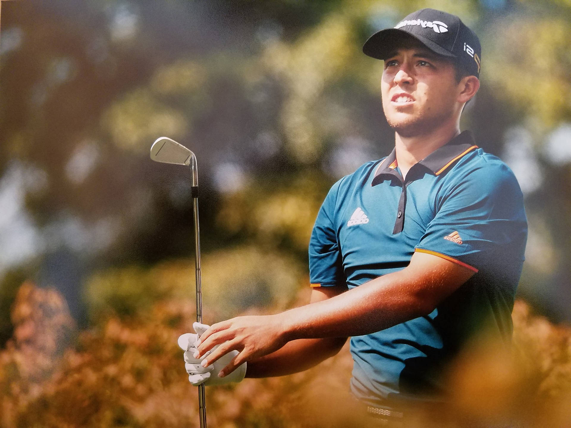 Xander Schauffele Bakgrunnsbildet