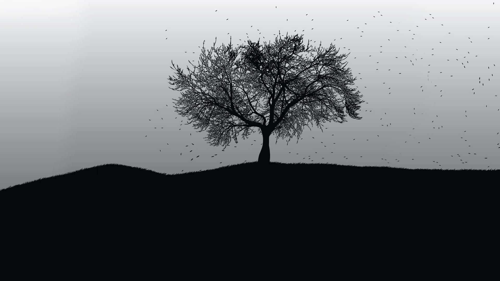 [100+] Black And White Tree Wallpapers | Wallpapers.com