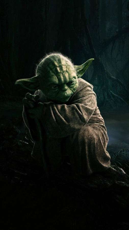 Yoda em uma floresta escura vestindo um manto marrom com uma expressão solene. — Yoda Papéis de Parede