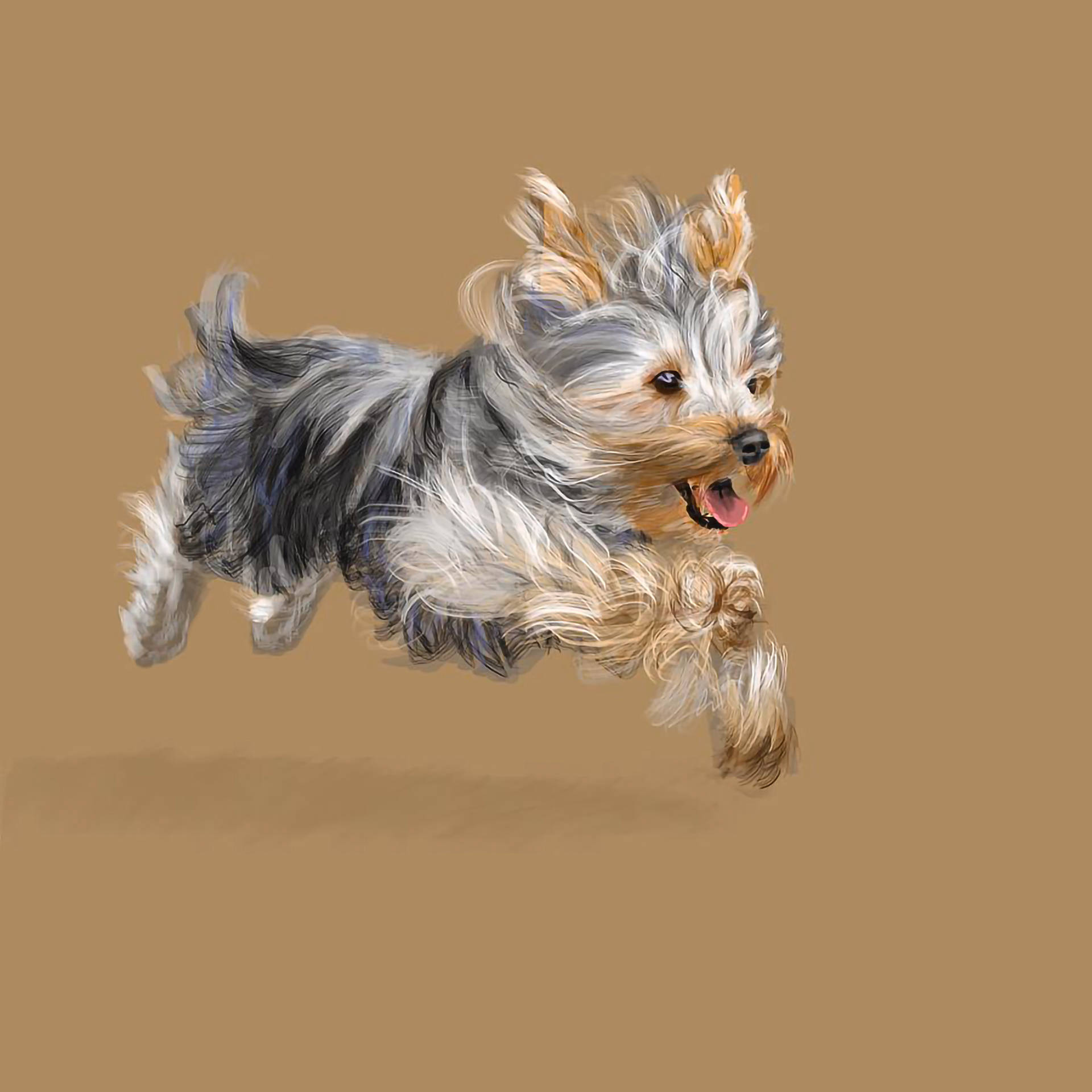 Yorkie Hintergrund
