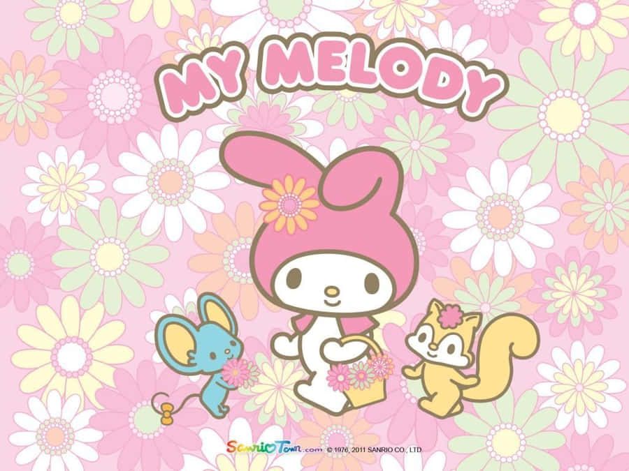 Download My Melody Desktop Cakes And Pink Flowers Wallpaper  Wallpaperscom