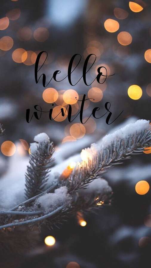 Verschneite Kiefernzweige mit warmen Bokeh-Lichtern und Hello Winter Text — Zitate Wallpaper