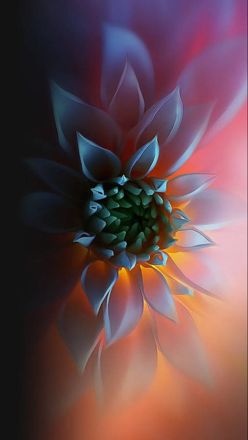 Zoom Flower Wallpaper