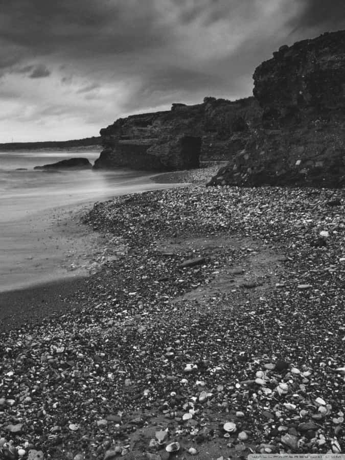 Zwart En Wit Strand Achtergrond