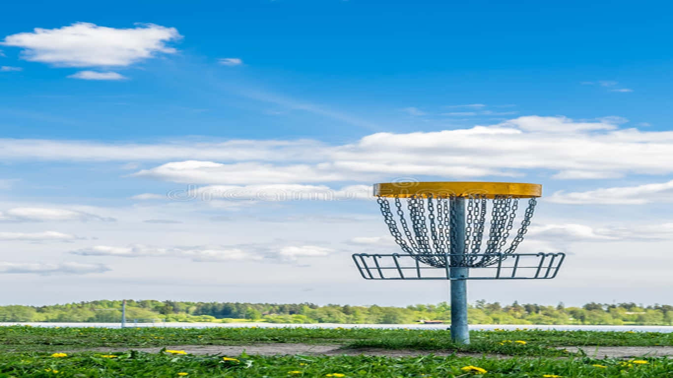 Download A Frisbee Golf Basket In The Grass | Wallpapers.com