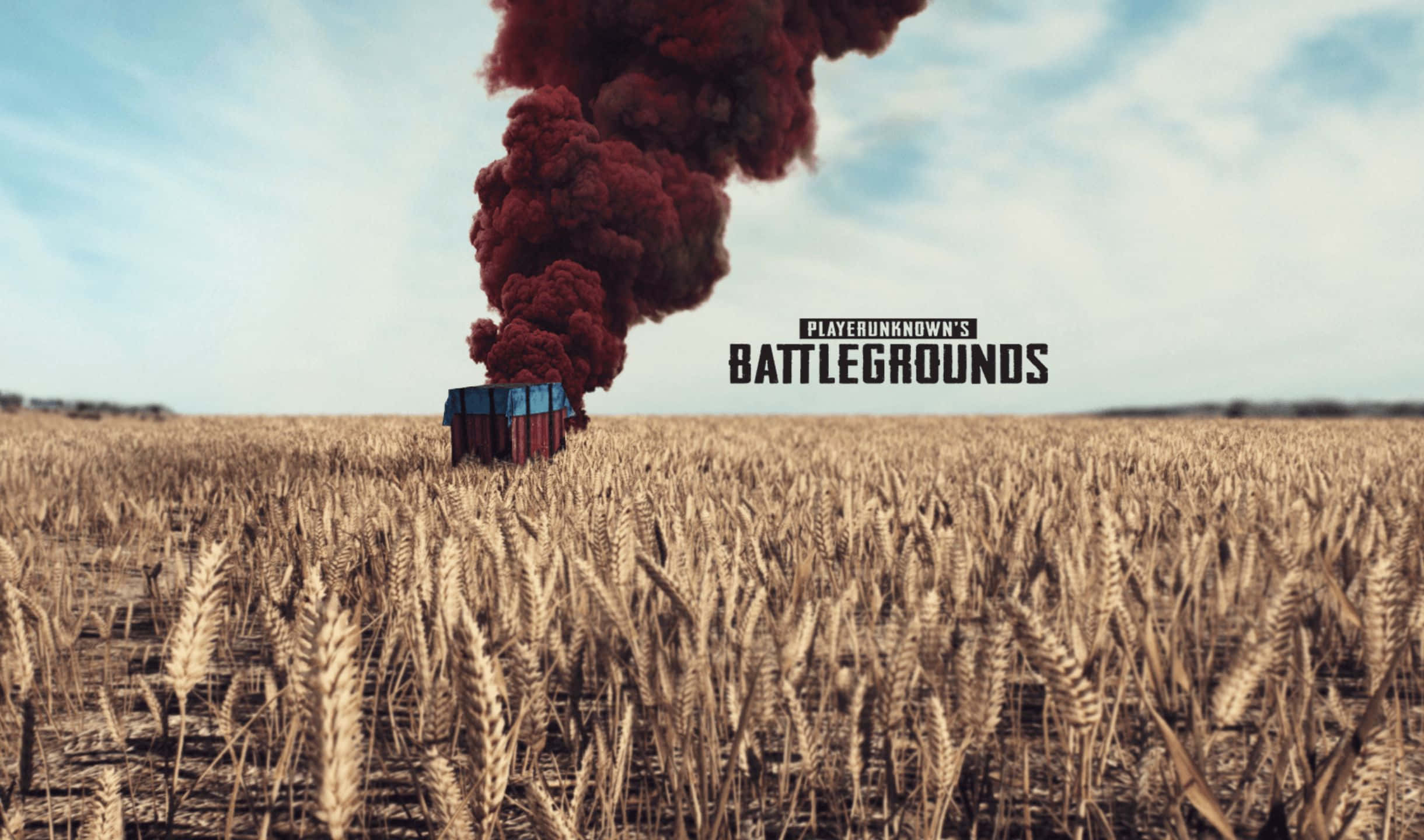 Download 2440x1440 Playerunknown's Battlegrounds Background ...