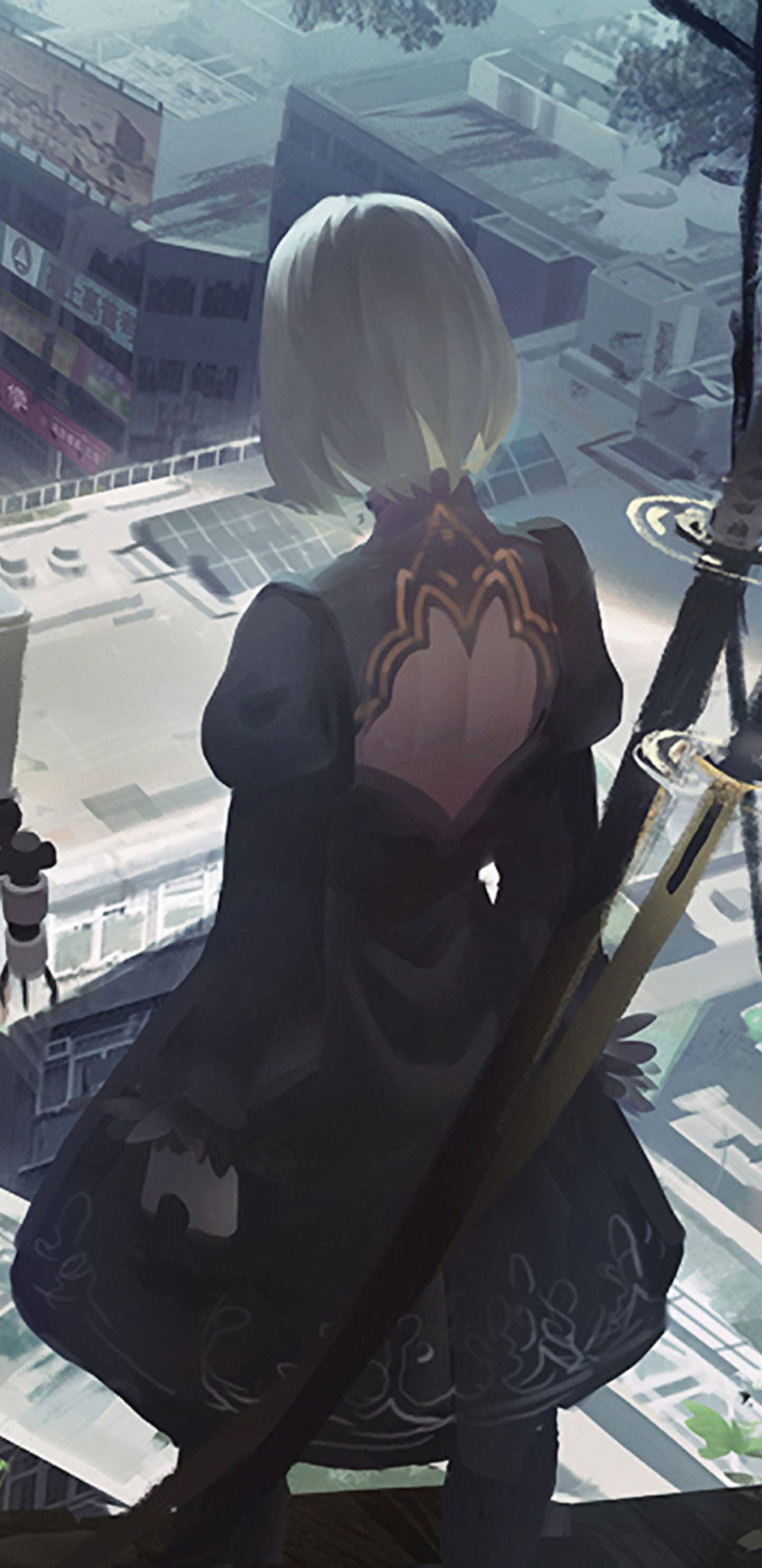 2b Staring At City View Background