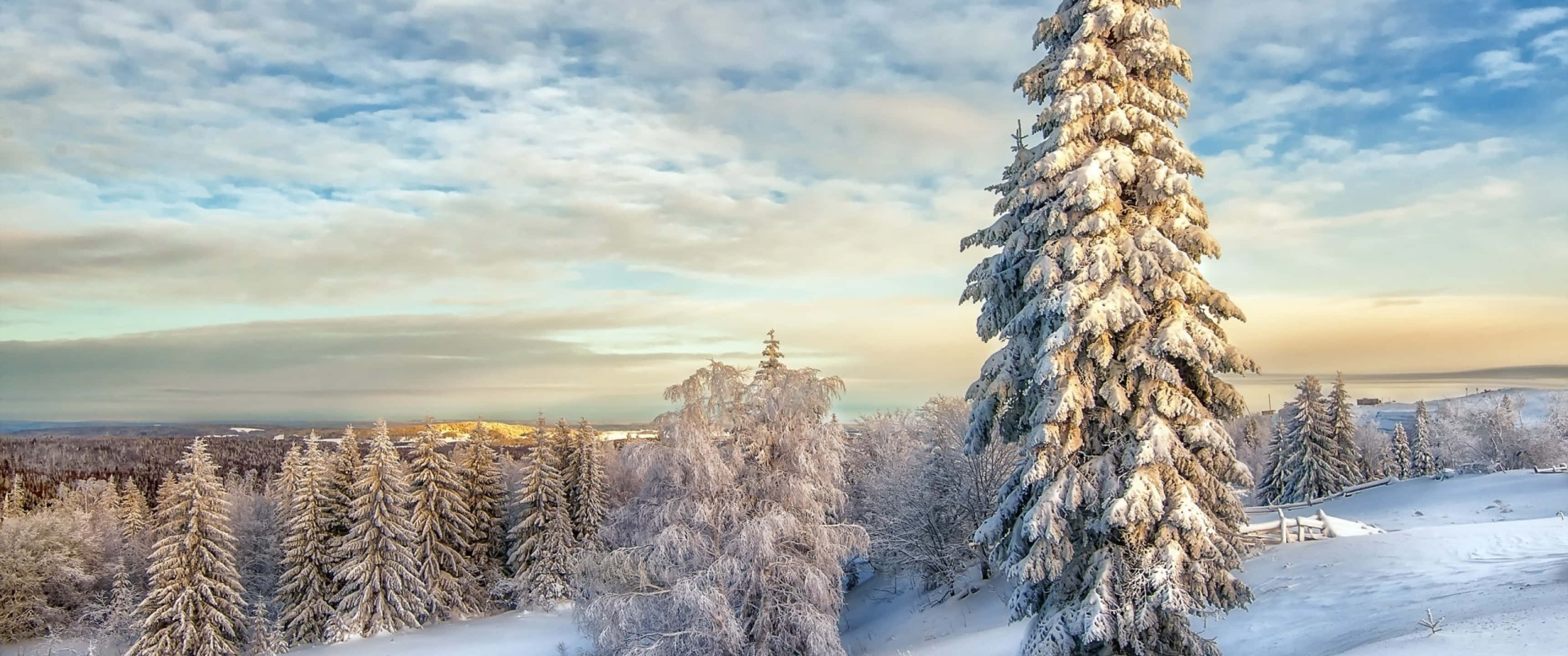 Пейзаж зимы. Фотограф Владимира Чуприков. Зимний пейзаж. Зимняя природа. Снежный пейзаж.