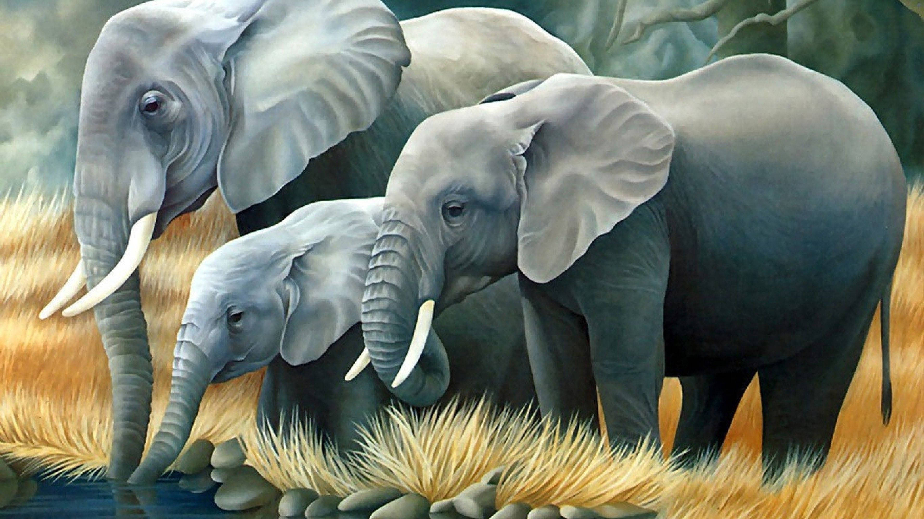 3d Elephant Artwork Background
