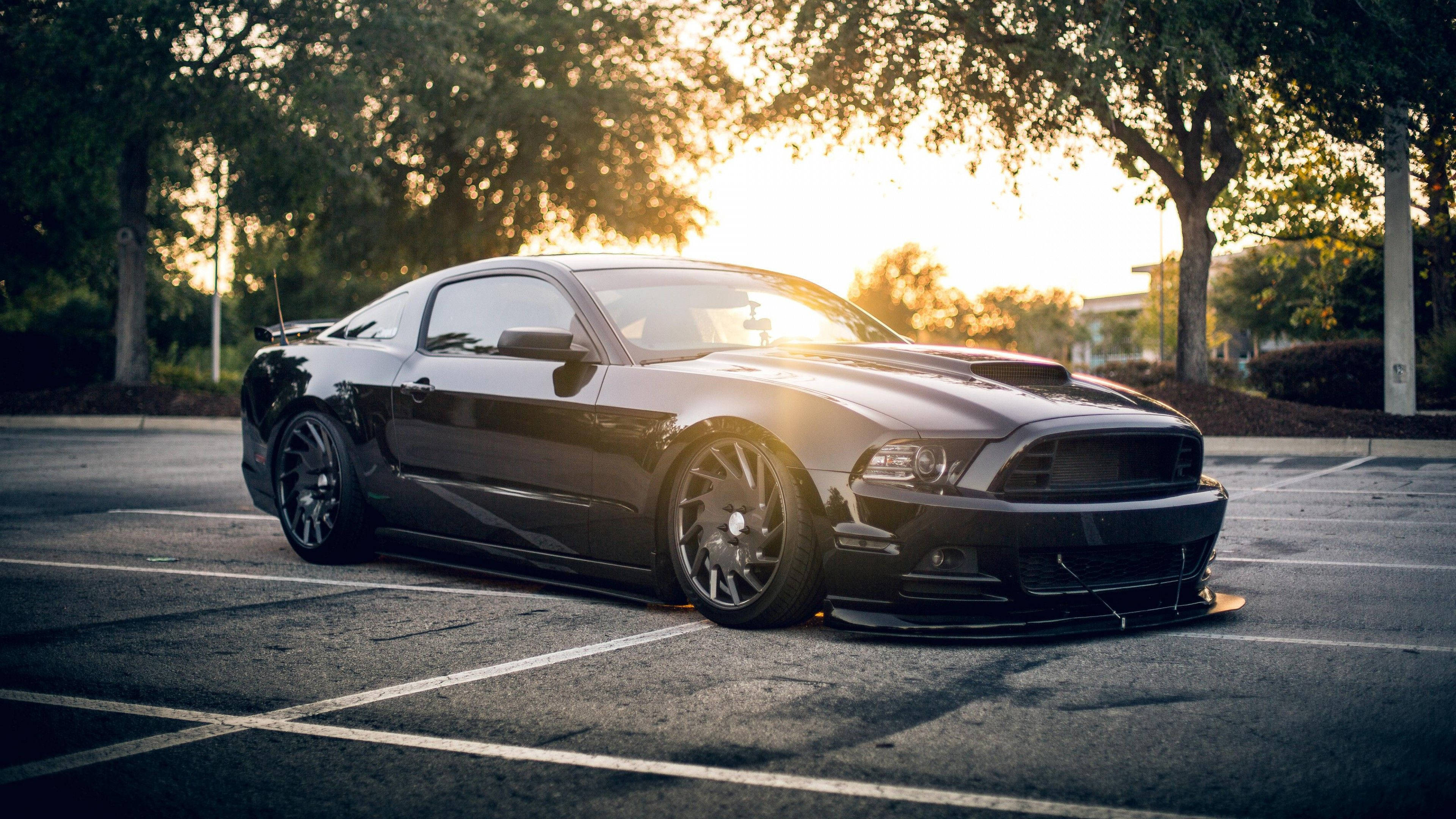 Download 4k Ultra Hd Mustang Black Ford Shelby Gt500 Wallpaper | Wallpapers .com