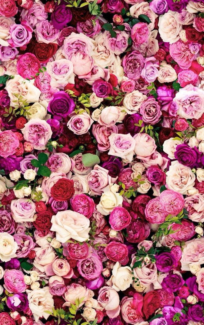 A Bunch Of Pink And Purple Roses Are Arranged In A Pattern Background