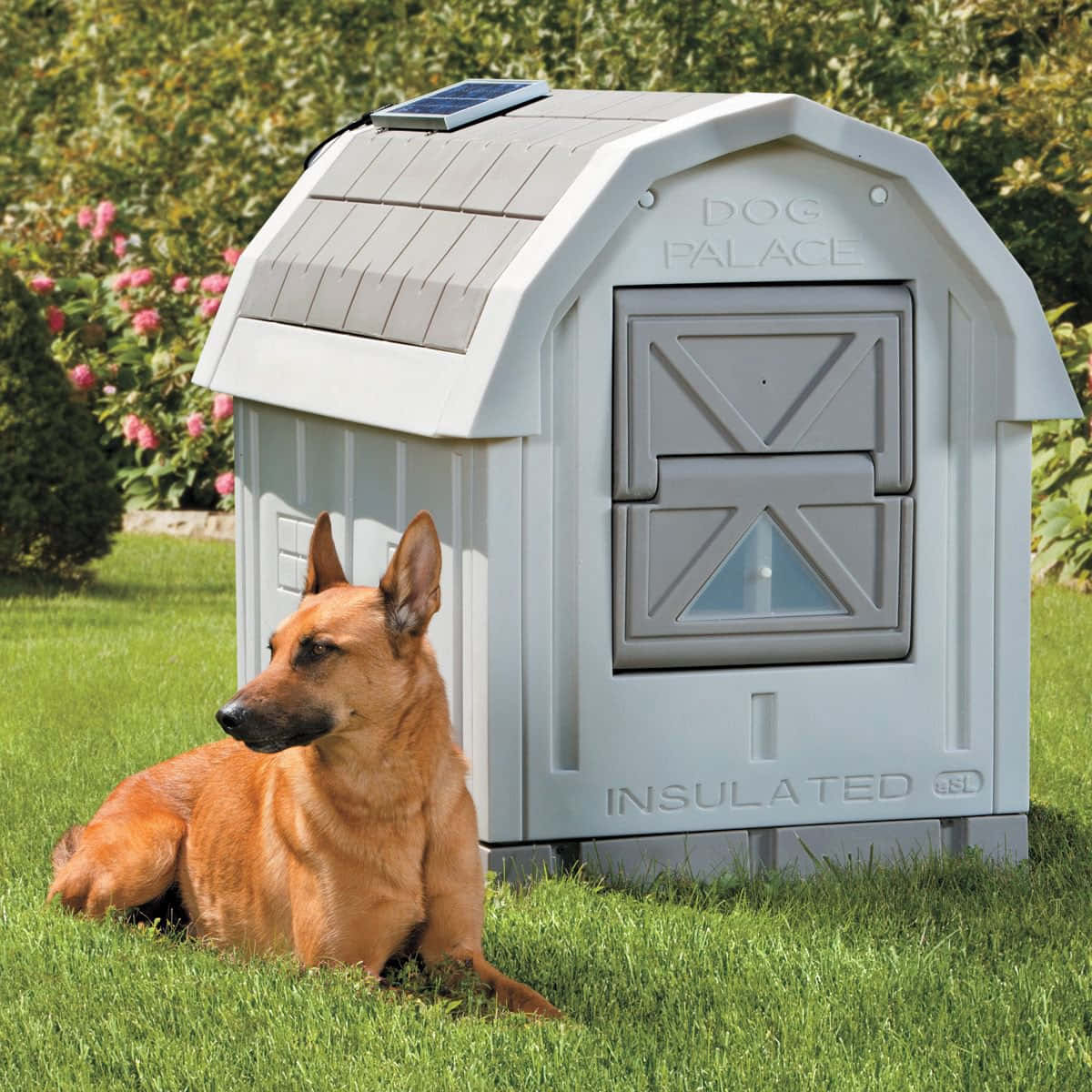 New dog house. Будка для собаки. Креативные будки для собак. Собака с конурой. Большая будка для собаки.
