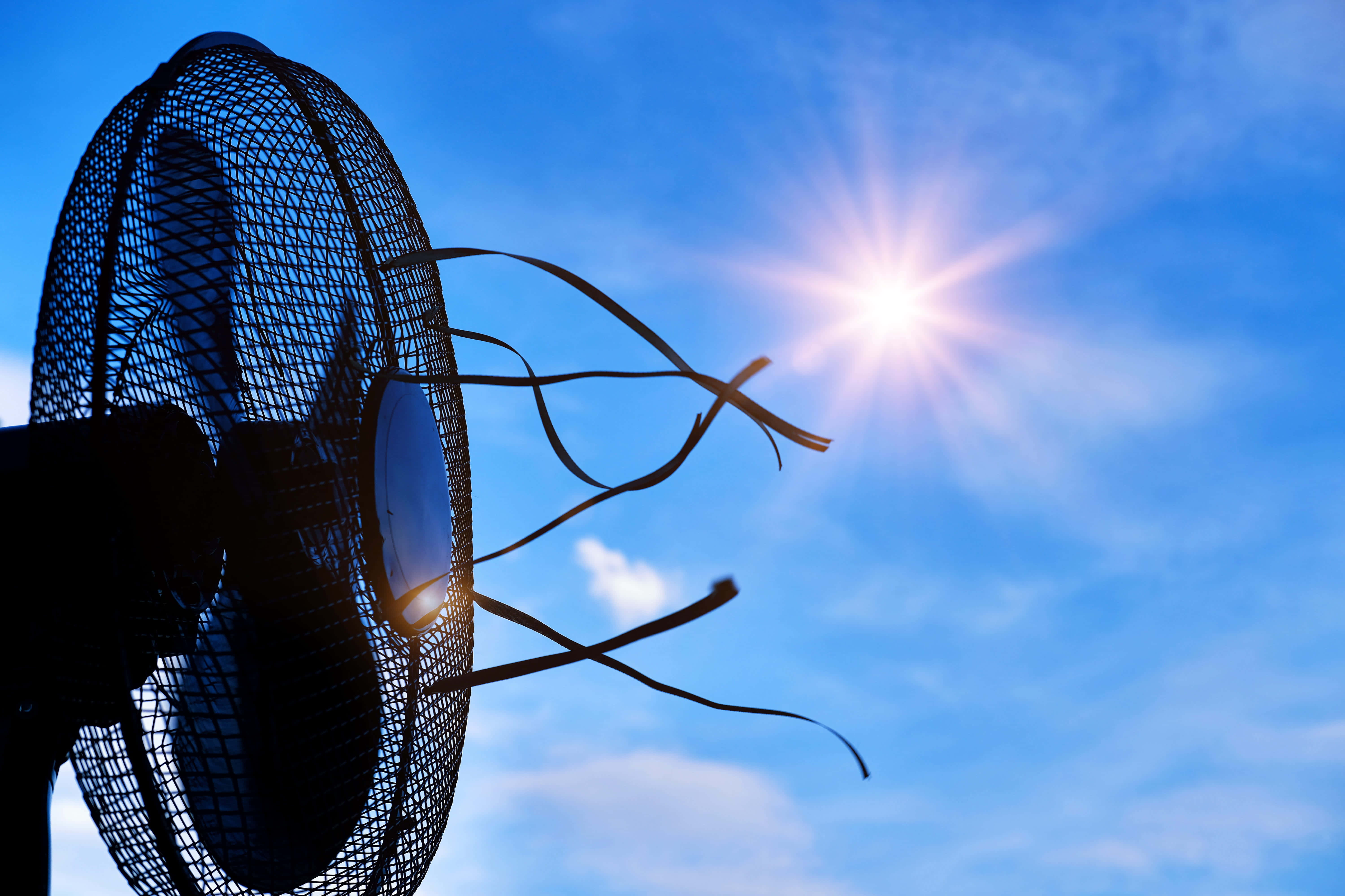 A Fan Is Shown Against A Blue Sky Background