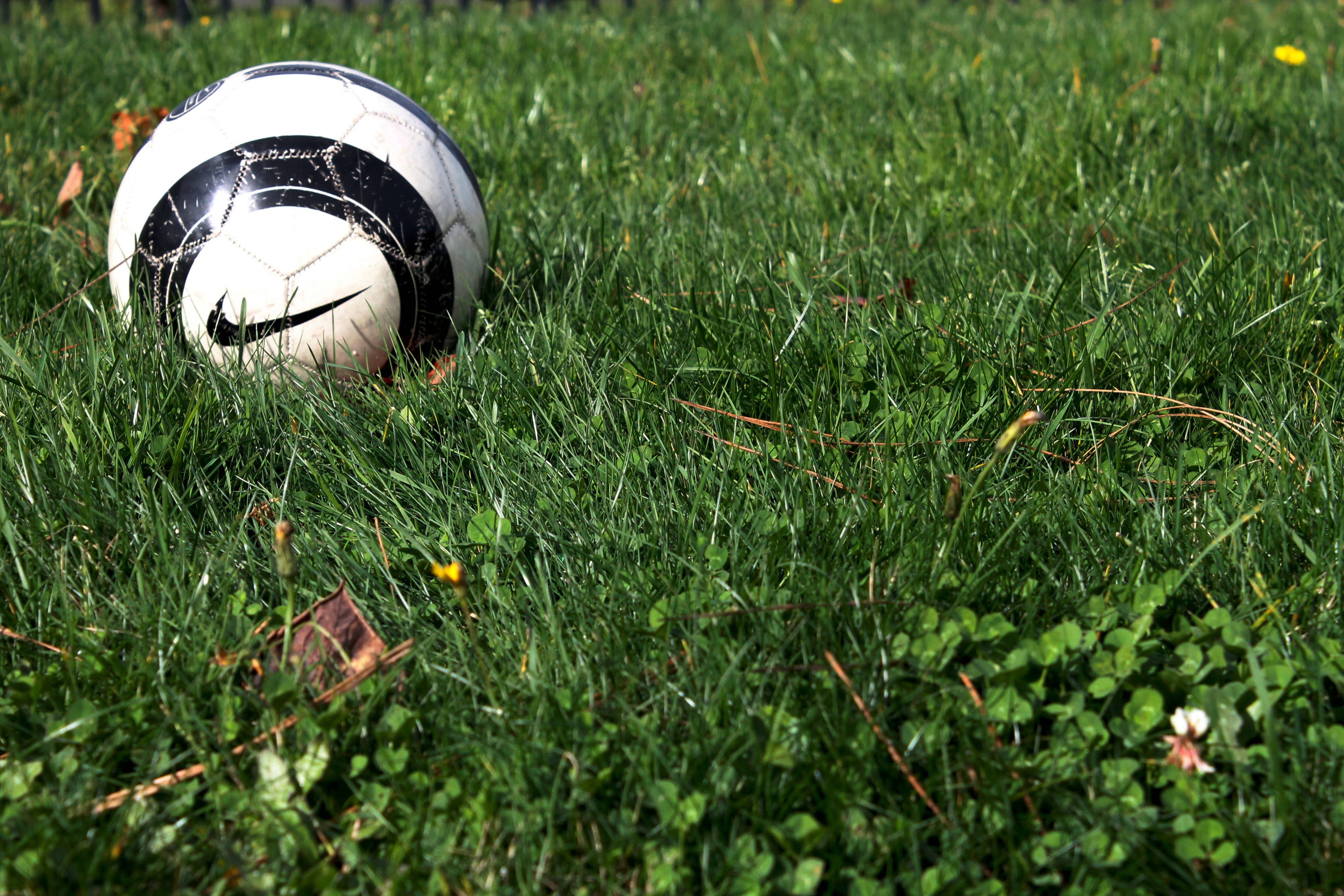 A Nike Ball In The Grass Background